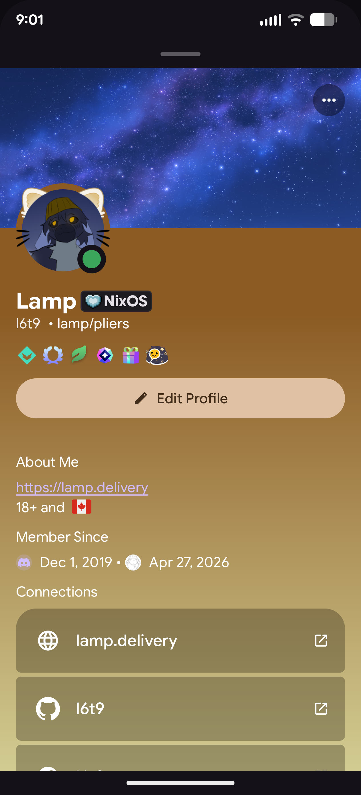 Lampcord Mobile Profile Preview