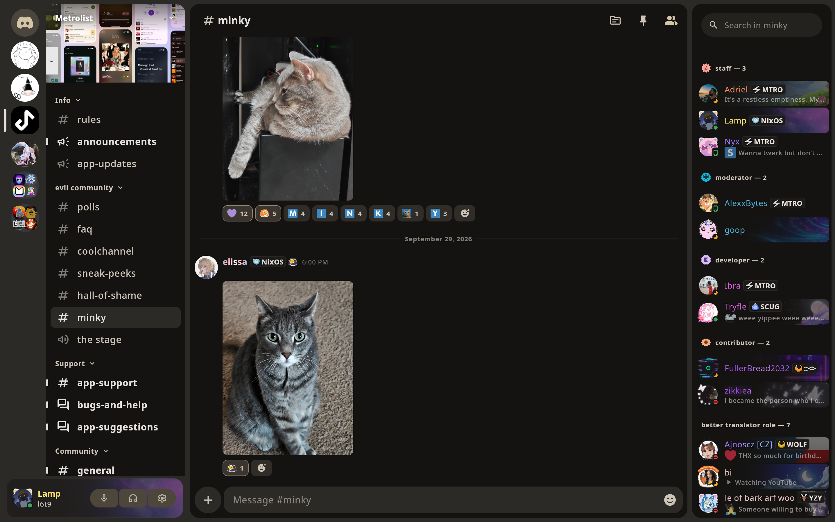 Lampcord Desktop Preview